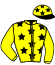 casaque portée par Lecoeuvre C. jockey du cheval de course TIERCEVILLE, information pmu ZETURF casaque portée par Lecoeuvre C. jockey du cheval de course TIERCEVILLE, information pmu ZETURF