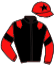 casaque portée par Doyle H. jockey du cheval de course KAADI, information pmu ZETURF casaque portée par Doyle H. jockey du cheval de course KAADI, information pmu ZETURF