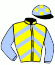 casaque portée par Demuro C. jockey du cheval de course AL HABISSET, information pmu ZETURF