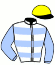 casaque portée par Barzalona M. jockey du cheval de course LALA LIGHT, information pmu ZETURF