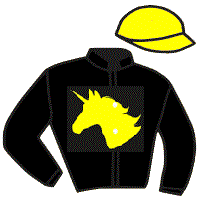 casaque portée par Barzalona M. jockey du cheval de course RIYAK, information pmu ZETURF