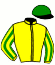 casaque portée par Trullier T. jockey du cheval de course ZARICA, information pmu ZETURF