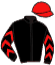 casaque portée par Demuro C. jockey du cheval de course LIWA OASIS, information pmu ZETURF