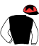 casaque portée par Hayes C. D. jockey du cheval de course HARBOUR WIND, information pmu ZETURF casaque portée par Hayes C. D. jockey du cheval de course HARBOUR WIND, information pmu ZETURF