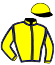casaque portée par Soumillon C. jockey du cheval de course MOUNT ATHOS, information pmu ZETURF