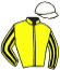 casaque portée par Soumillon C. jockey du cheval de course AMBIENTE FRIENDLY, information pmu ZETURF