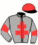 casaque portée par Chuette Mlle S. jockey du cheval de course MANDLEFT, information pmu ZETURF casaque portée par Chuette Mlle S. jockey du cheval de course MANDLEFT, information pmu ZETURF