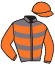 casaque portée par Soumillon C. jockey du cheval de course ZARAKCHIC, information pmu ZETURF casaque portée par Soumillon C. jockey du cheval de course ZARAKCHIC, information pmu ZETURF