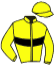 casaque portée par Breux D. jockey du cheval de course LE ROI LEON, information pmu ZETURF casaque portée par Breux D. jockey du cheval de course LE ROI LEON, information pmu ZETURF