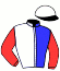 casaque portée par Crouch H. jockey du cheval de course FAIR POINT, information pmu ZETURF