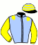 casaque portée par Cheminaud V. jockey du cheval de course LE LAUREAT, information pmu ZETURF