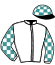 casaque portée par Besnier H. jockey du cheval de course ASTERIOS (FR), information pmu ZETURF
