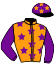 casaque portée par Corallo F. jockey du cheval de course CARTER AND GO (FR), information pmu ZETURF