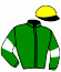 casaque portée par Callier P. jockey du cheval de course GUERRIERE DE CORCY, information pmu ZETURF