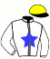 casaque portée par Dujmic M. jockey du cheval de course GRAND MASSIF, information pmu ZETURF