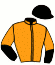 casaque portée par Gauvin F. jockey du cheval de course HARMONY DE REYNALD (FR), information pmu ZETURF