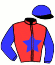 casaque portée par Ruet B. jockey du cheval de course HALTESSE DU BOIS (FR), information pmu ZETURF