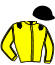 casaque portée par Neuville H. jockey du cheval de course HOLLY SPORT, information pmu ZETURF