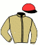 casaque portée par Broust F. jockey du cheval de course HERMINE DU SABLIER, information pmu ZETURF