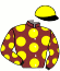 casaque portée par Hardouin E. jockey du cheval de course MIA STAR, information pmu ZETURF