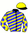 casaque portée par Tintillier A. jockey du cheval de course HIVAROSA DU BOCAGE, information pmu ZETURF