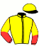 casaque portée par Lemaitre A. jockey du cheval de course JUST YOU AND ME, information pmu ZETURF