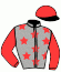 casaque portée par Blot P. jockey du cheval de course FESTIN COLLONGES, information pmu ZETURF casaque portée par Blot P. jockey du cheval de course FESTIN COLLONGES, information pmu ZETURF