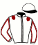 casaque portée par Blanc N. jockey du cheval de course JAZZY JANE, information pmu ZETURF casaque portée par Blanc N. jockey du cheval de course JAZZY JANE, information pmu ZETURF