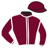 casaque portée par Lemaitre A. jockey du cheval de course TCHORO, information pmu ZETURF casaque portée par Lemaitre A. jockey du cheval de course TCHORO, information pmu ZETURF