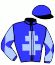 casaque portée par Thomas Ron. jockey du cheval de course WHYDAH GALLY, information pmu ZETURF casaque portée par Thomas Ron. jockey du cheval de course WHYDAH GALLY, information pmu ZETURF