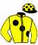 casaque portée par Lecoeuvre C. jockey du cheval de course BARAZIN, information pmu ZETURF