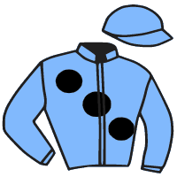 casaque portée par Hardouin E. jockey du cheval de course SUDDEN DEATH, information pmu ZETURF casaque portée par Hardouin E. jockey du cheval de course SUDDEN DEATH, information pmu ZETURF