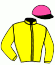 casaque portée par Pasquier S. jockey du cheval de course VEGA STAR, information pmu ZETURF casaque portée par Pasquier S. jockey du cheval de course VEGA STAR, information pmu ZETURF