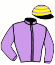 casaque portée par Lecoeuvre C. jockey du cheval de course INTELLECT, information pmu ZETURF casaque portée par Lecoeuvre C. jockey du cheval de course INTELLECT, information pmu ZETURF