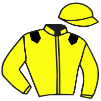 casaque portée par Guyon M. jockey du cheval de course ANNEEFF, information pmu ZETURF