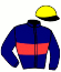 casaque portée par Beaurain T. jockey du cheval de course SHALEZ, information pmu ZETURF casaque portée par Beaurain T. jockey du cheval de course SHALEZ, information pmu ZETURF