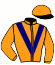 casaque portée par Gauffenic N. jockey du cheval de course KALEOTIC, information pmu ZETURF