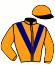 casaque portée par Gauffenic N. jockey du cheval de course KALEOTIC, information pmu ZETURF casaque portée par Gauffenic N. jockey du cheval de course KALEOTIC, information pmu ZETURF