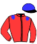 casaque portée par Trullier T. jockey du cheval de course CANTATRICE, information pmu ZETURF casaque portée par Trullier T. jockey du cheval de course CANTATRICE, information pmu ZETURF