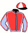 casaque portée par Trullier T. jockey du cheval de course DARLYVI, information pmu ZETURF casaque portée par Trullier T. jockey du cheval de course DARLYVI, information pmu ZETURF