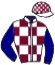 casaque portée par Journiac H. jockey du cheval de course MISS GREELEY, information pmu ZETURF