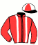 casaque portée par Peltier F. J. jockey du cheval de course KINGLY DREAMS, information pmu ZETURF