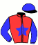 casaque portée par Ruet B. jockey du cheval de course KARLA DES COURTILS, information pmu ZETURF casaque portée par Ruet B. jockey du cheval de course KARLA DES COURTILS, information pmu ZETURF