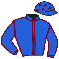 casaque portée par Lemaitre A. jockey du cheval de course CHARM KING, information pmu ZETURF casaque portée par Lemaitre A. jockey du cheval de course CHARM KING, information pmu ZETURF