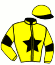 casaque portée par Busset Mme S. jockey du cheval de course KAEDI DJOC, information pmu ZETURF casaque portée par Busset Mme S. jockey du cheval de course KAEDI DJOC, information pmu ZETURF