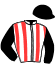 casaque portée par Sorel J. Ch. jockey du cheval de course JOYAUX DES ILES, information pmu ZETURF