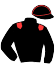 casaque portée par Peltier S. jockey du cheval de course GAYA DE LORGE, information pmu ZETURF