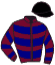 casaque portée par Gelhay B. jockey du cheval de course DASHKA, information pmu ZETURF