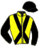 casaque portée par Chauve-Laffay H. jockey du cheval de course KAVALE ERCA, information pmu ZETURF