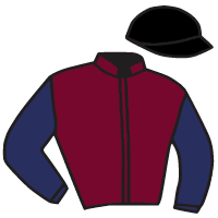 casaque portée par Crastus A. jockey du cheval de course GUARDIAN, information pmu ZETURF